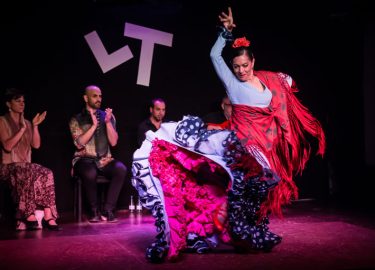 cuadro-flamenco-antonia-moya